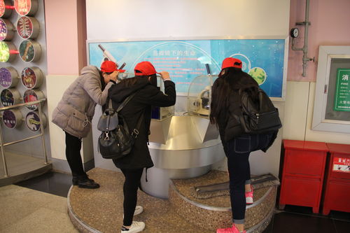 樂于探索，熱愛科學 酒店管理系青年志愿者赴科技館開展專業融合之旅
